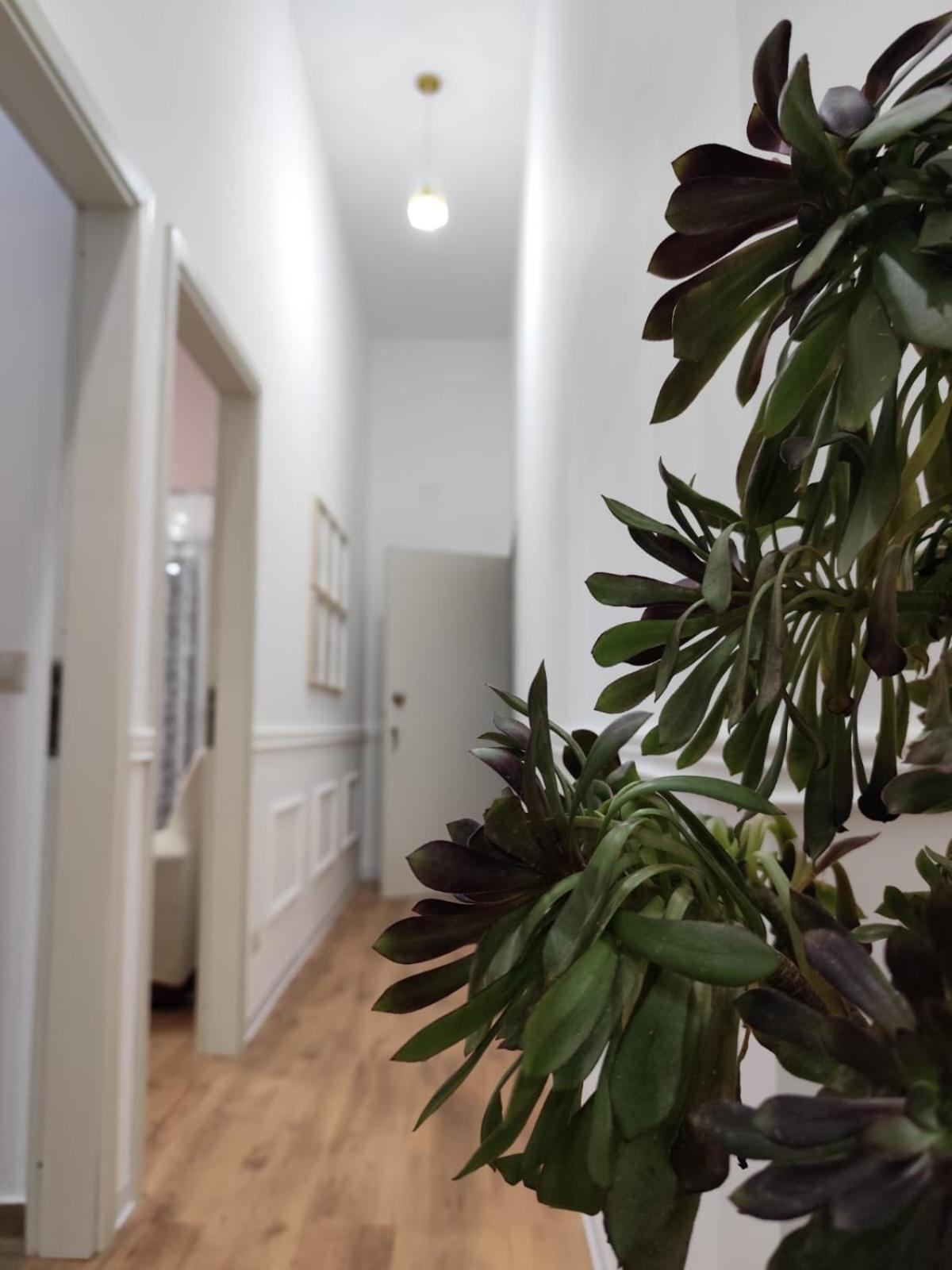Casa Belvedere أغريجنتو المظهر الخارجي الصورة
