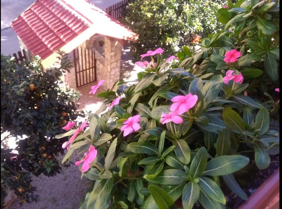 Casa Belvedere أغريجنتو المظهر الخارجي الصورة